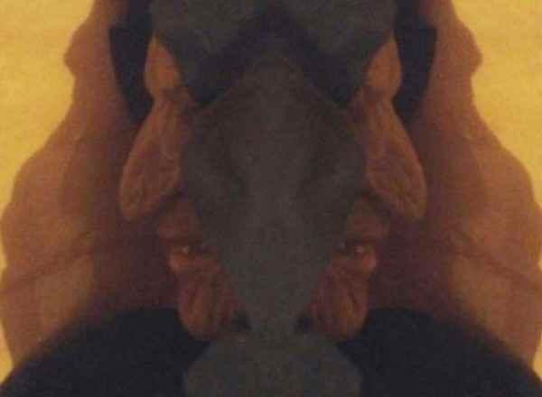 Квест Загадка алхимика Фулканелли в Севастополе